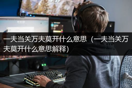 一夫当关万夫莫开什么意思（一夫当关万夫莫开什么意思解释）